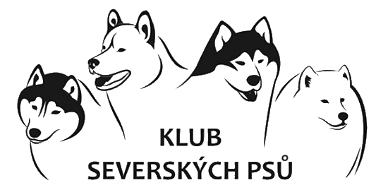 logo polardogs